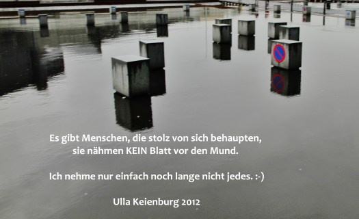 Reykjavik, Island   2012