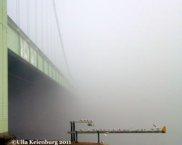 Köln am Morgen 2011