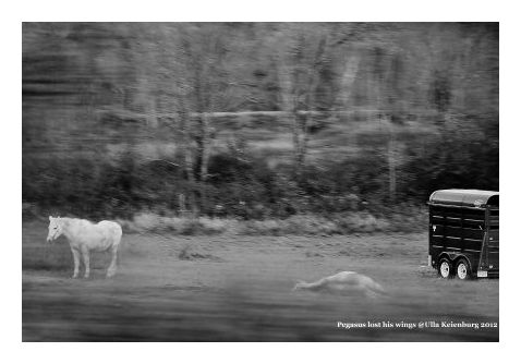 pegasus-vermont-klein-sw