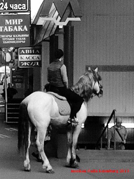 da steht ein pferd vor der tuer