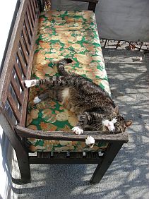 katrin weimarb 2 klein