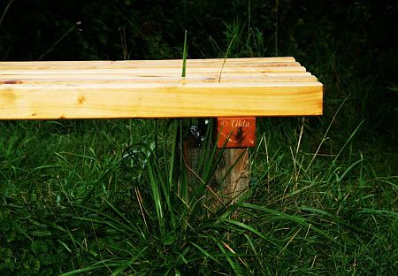 mathilda Bank1 (1) tilda klein