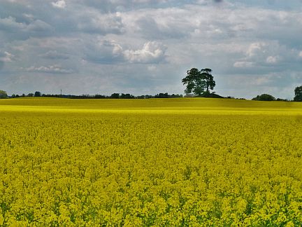 Ohne Licht ist alles nichts