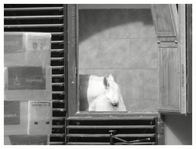 spanisches hotthü in wien 4 von 5 sw