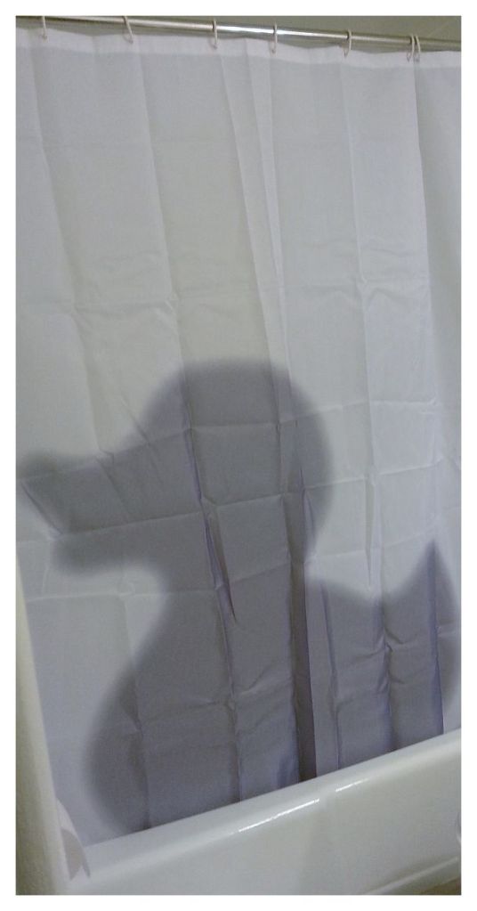 feel like a shadow of  a duck