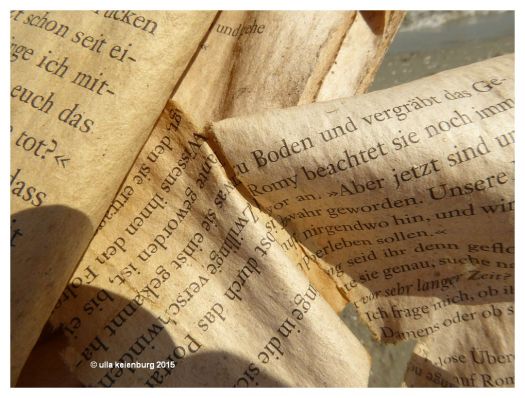 ein buch im meer gelesen