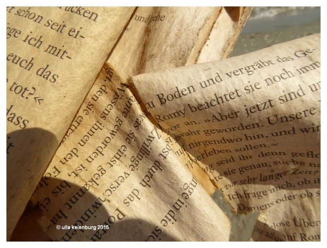 ein buch im meer gelesen