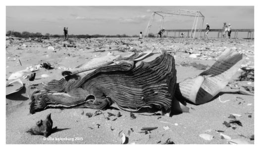 ein buch vom meer gelesen