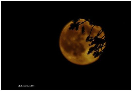 der mond über guilderland