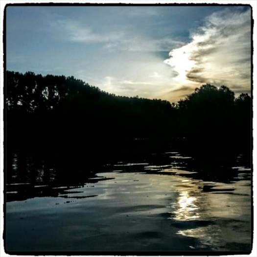 wp-1437282294383 image