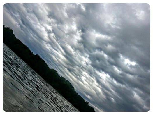 wp-1437974425333 image