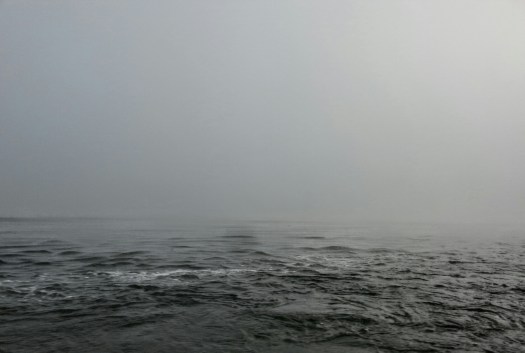 wp-1440306202770 image