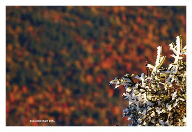 vorgefühlt herbst von oben