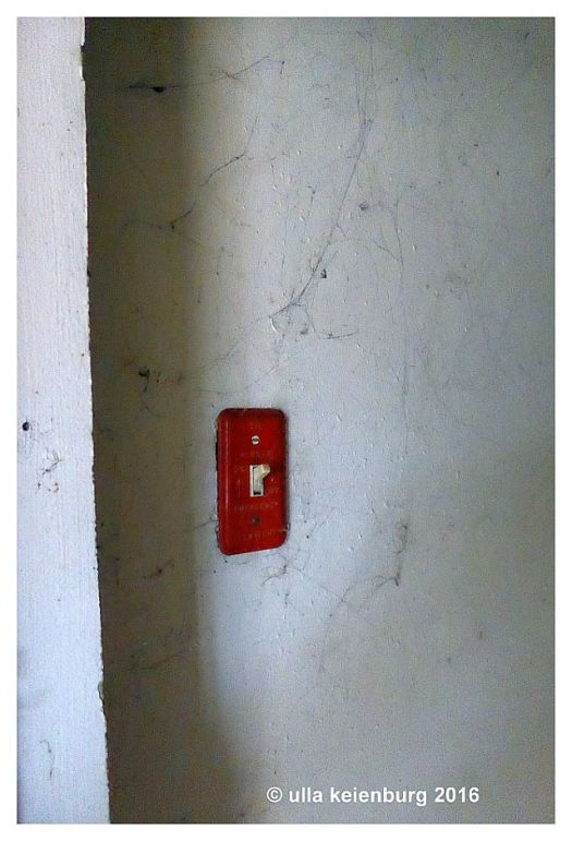 the best of the house