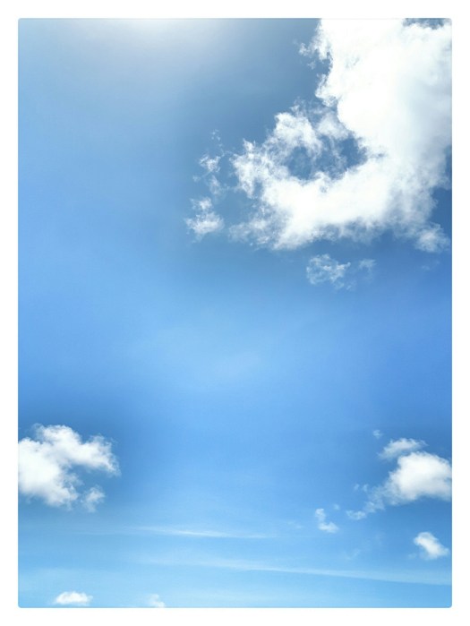 wp-1463789837623 image