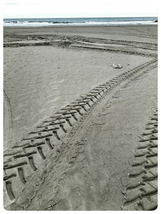 wp-1464782700821 image