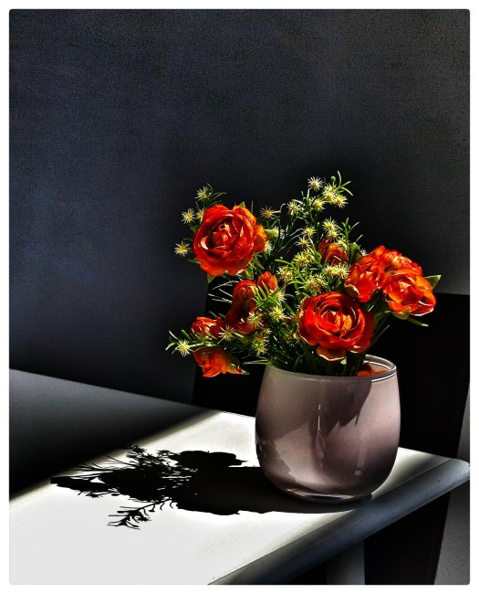 wp-1466805441340 image