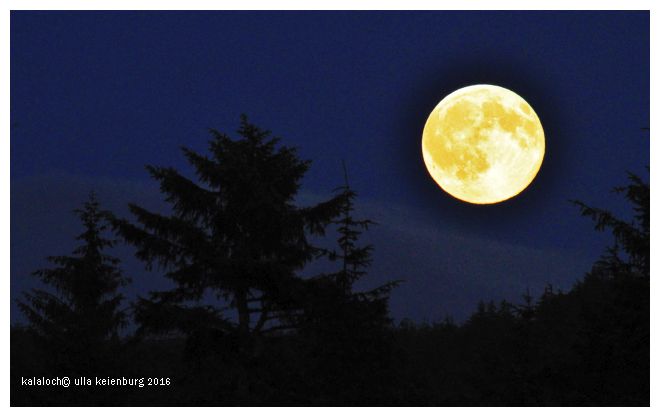 kalaloch vollmond juli 7 2016