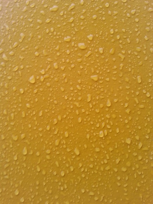 wp-1446997677098 image