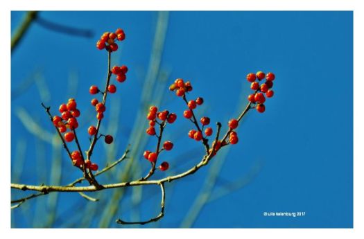 normans-kill-trail-2017