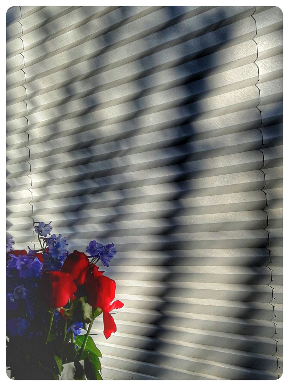 WhatsApp Image 2018-03-18 at 08.55.04