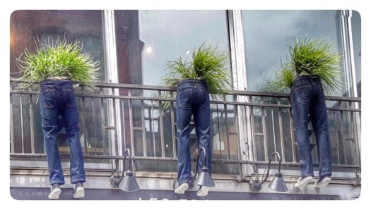 IMG_20180708_175702_597