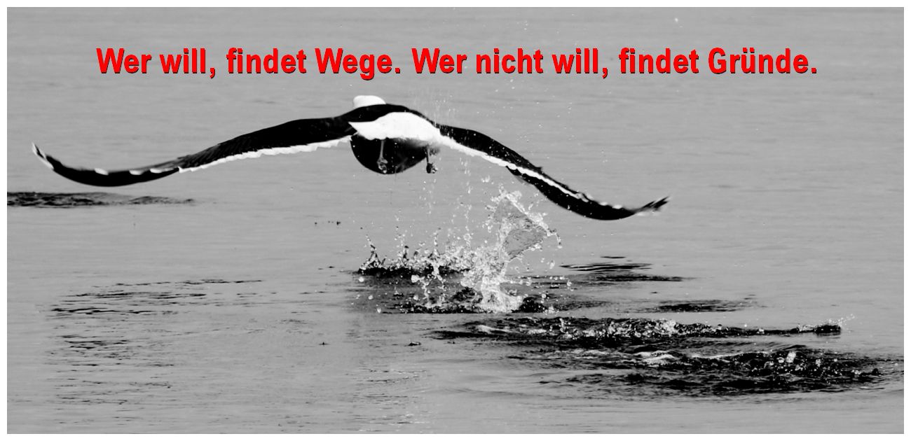 wer will und so weiter