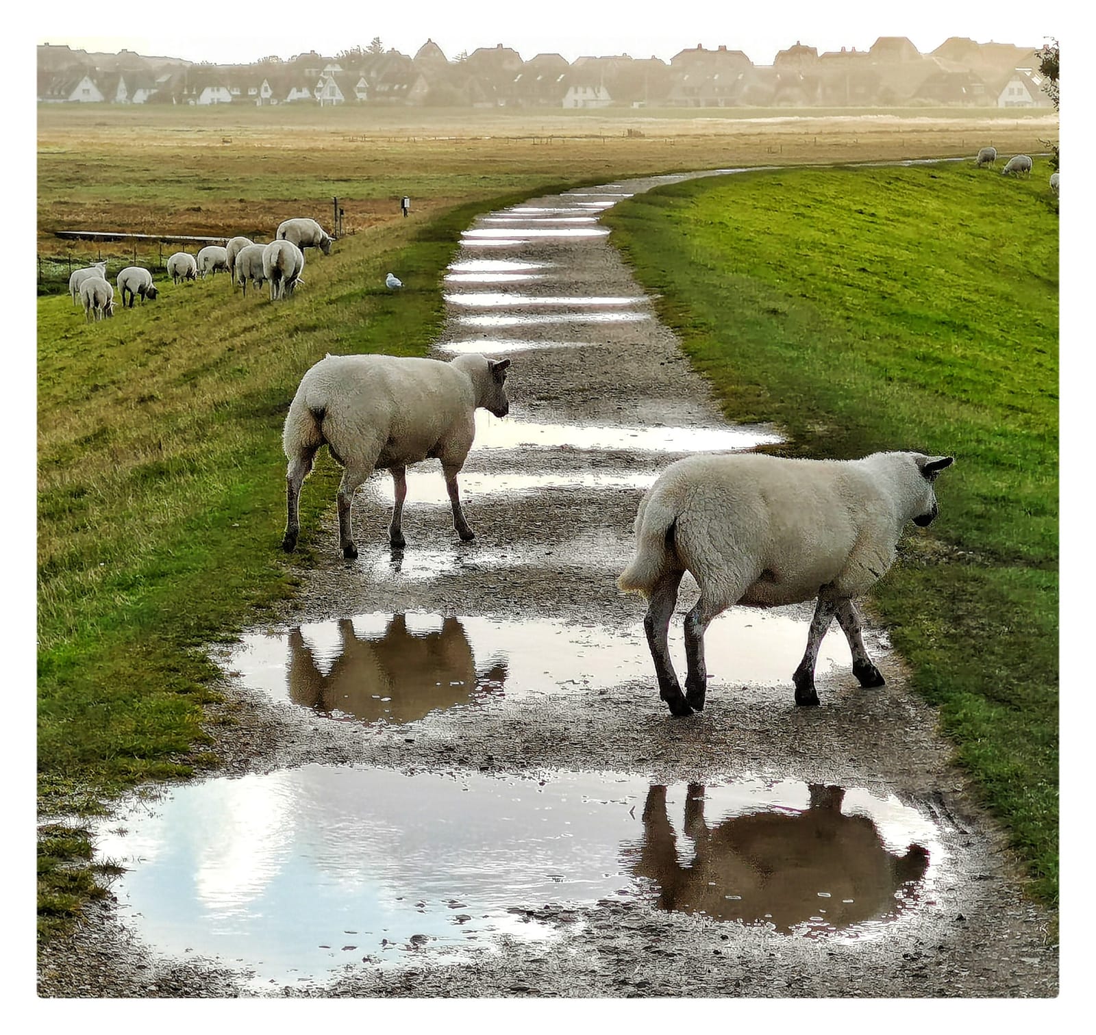 WhatsApp Image 2019-10-11 at 16.40.47