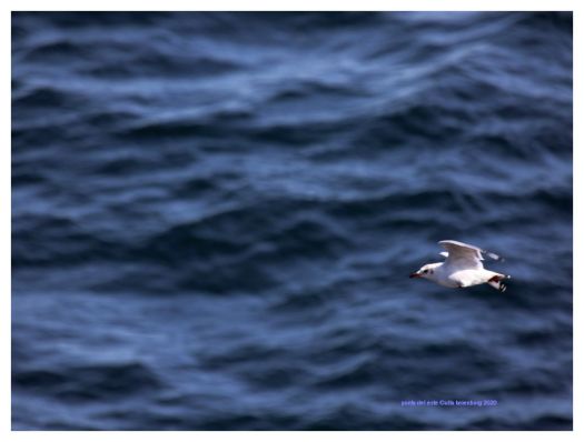 leben bitte geh noch nicht