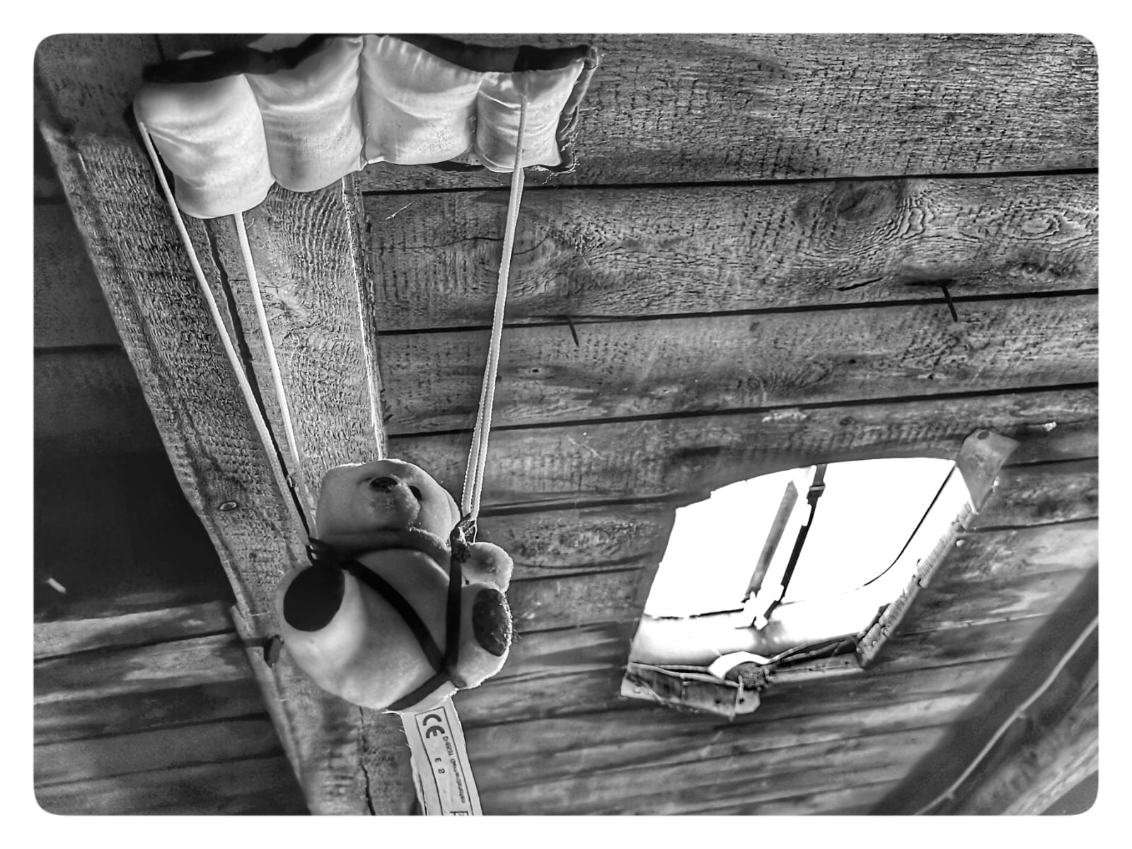 WhatsApp Image 2020-03-23 at 19.34.02